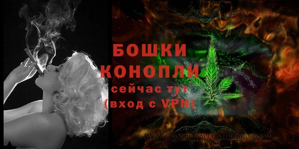 прущий лед Болотное